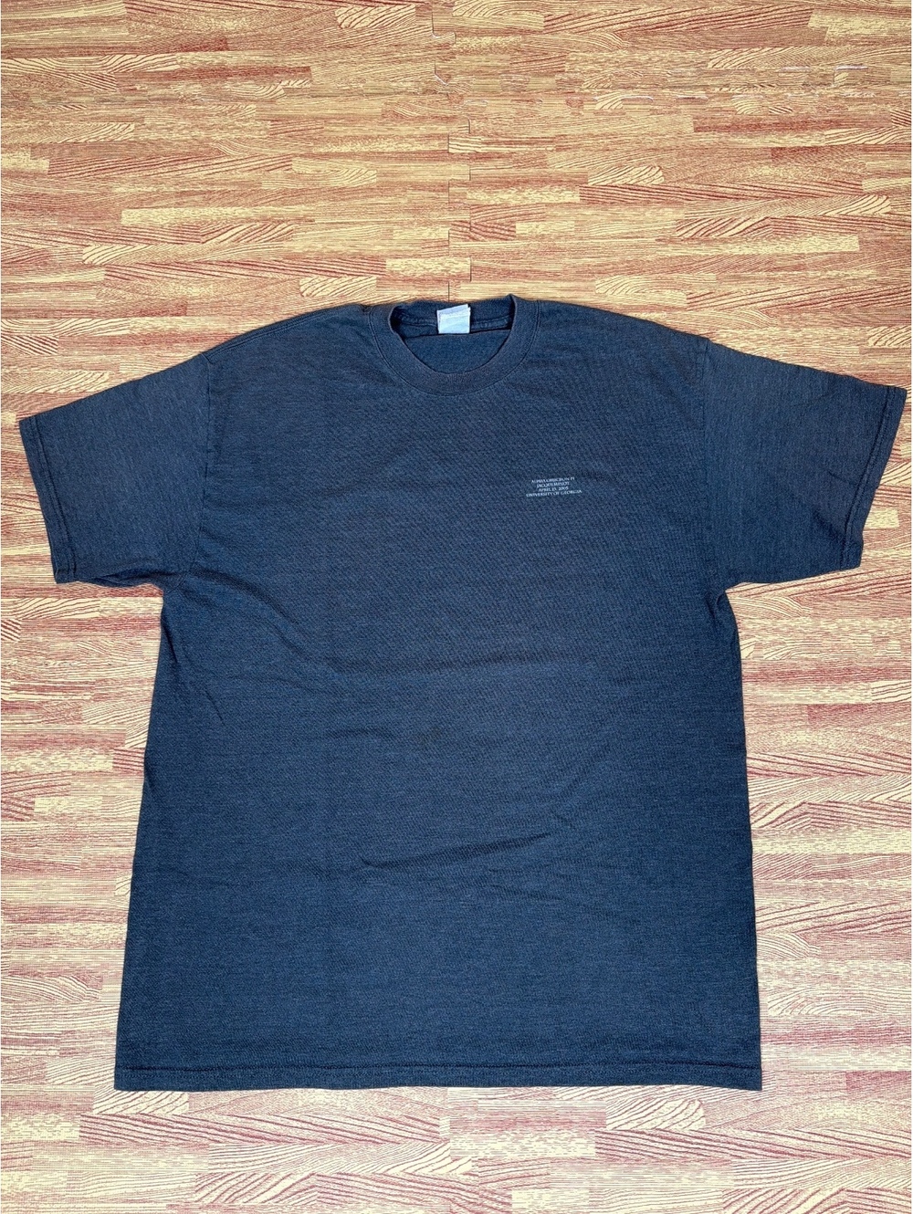 Vintage 2005 UGA Alpha Omicron Pi Jacqueminot Hanes Beefy-T Shirt L